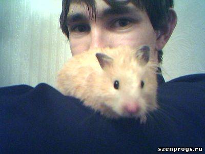 Как и обещал - мой хомяк