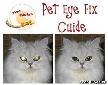 Скриншот к Pet Eye Fix Guide 1.2.2 by Boomer