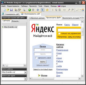 Скриншот к Micro-Sys A1 Website Analyzer 2.0.1