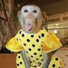 Аватар участника vera350